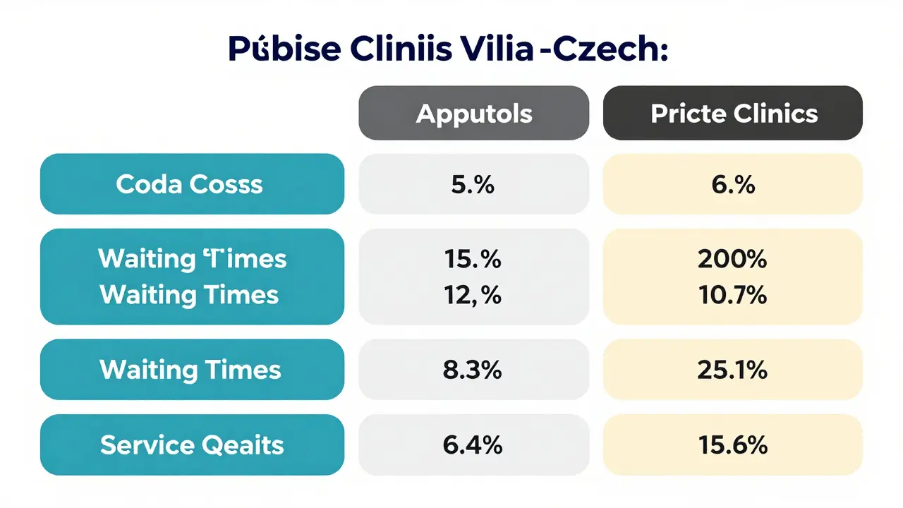 A side-by-side comparison of public vs. private healthcare in Czechia. Public hospitals offer free standard care but longer waits; private clinics charge higher fees (e.g., 15k-50k+ CZK for procedures) but provide faster access, modern facilities, and often include private rooms as standard.